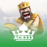 ACE333